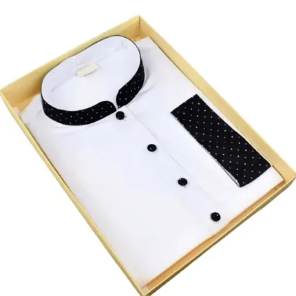 Trendy Stylish Panjabi